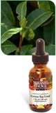 Green Tea Liquid Extract for antioxidants and weight loss support